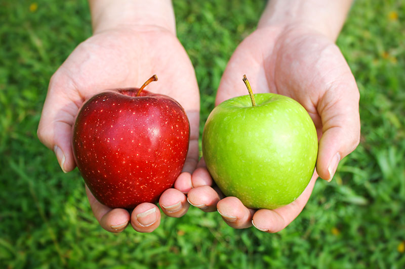 Inventory Management Systems:  How to Compare Apples to Apples