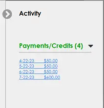 Payment Activity