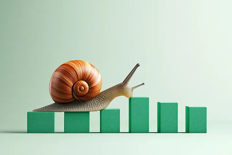 Slow to drive growth